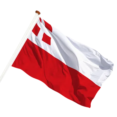 transparent background