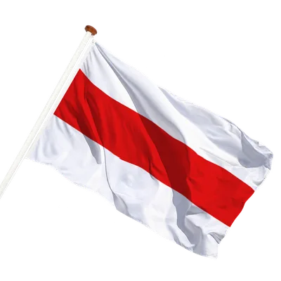 transparent background