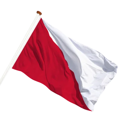 transparent background