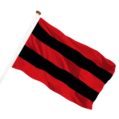 transparent background