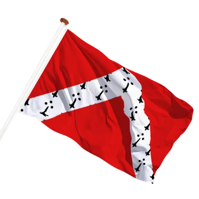 transparent background