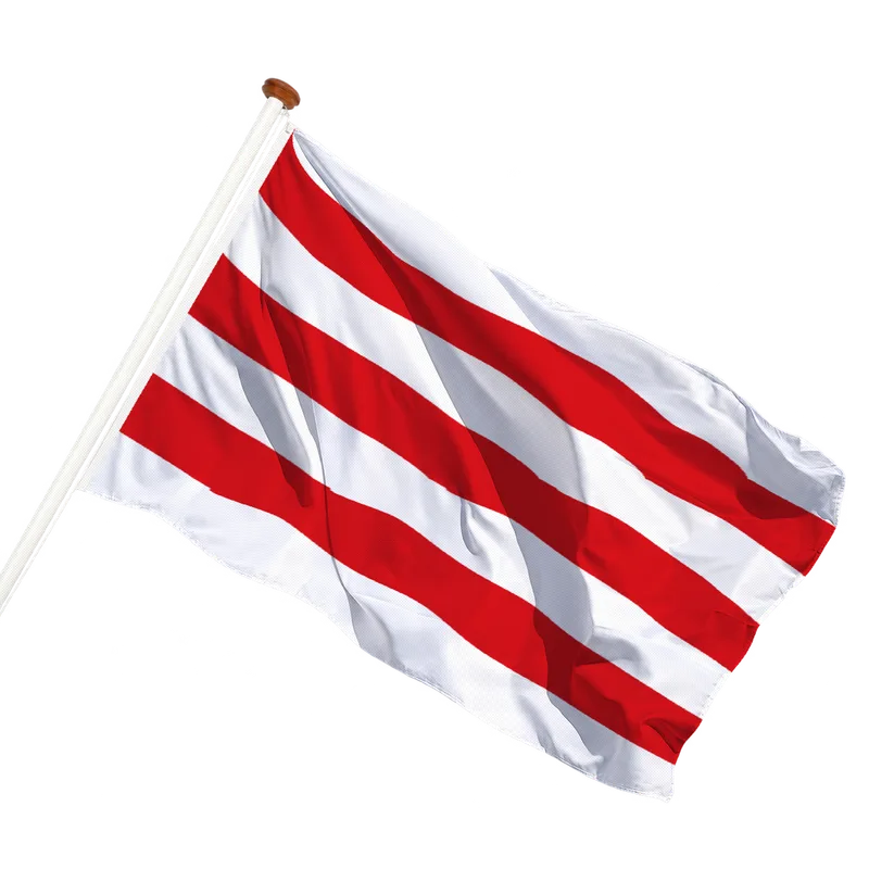 Flag of Sint-Lievens-Houtem