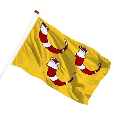 transparent background