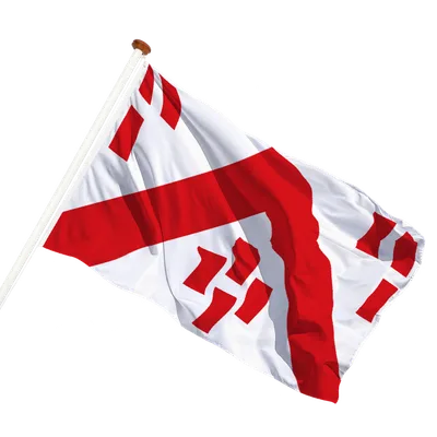 transparent background