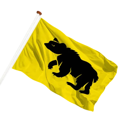 transparent background