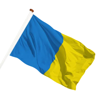 transparent background