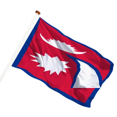 transparent background