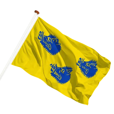 transparent background