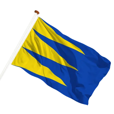 transparent background