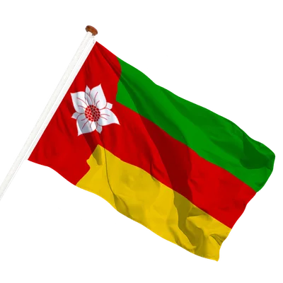 transparent background