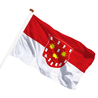 transparent background