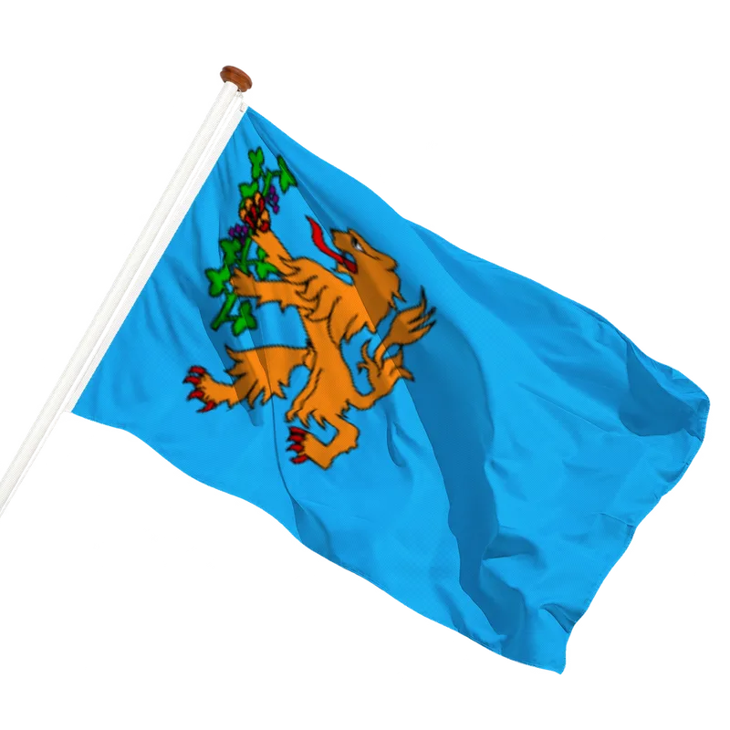 Flag of Brummen