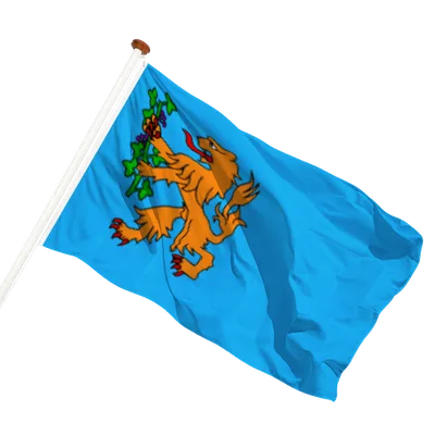 transparent background