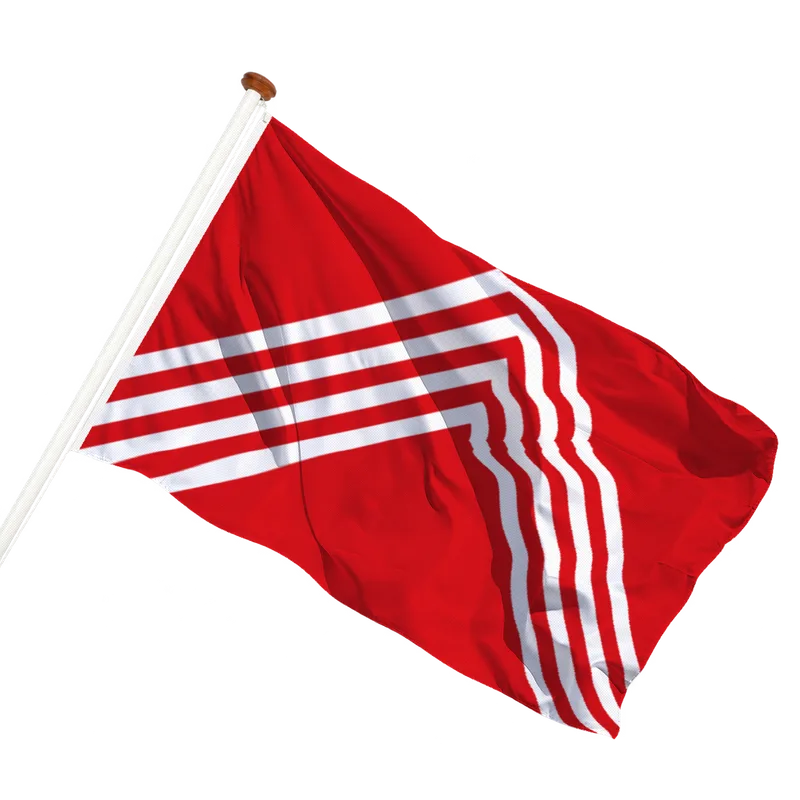 Flag of Brakel