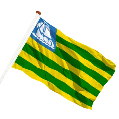 transparent background