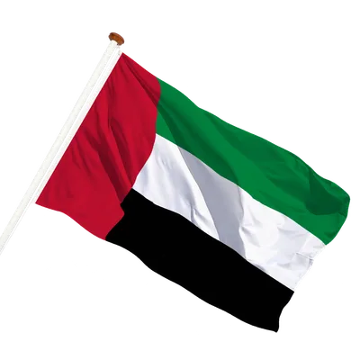 transparent background