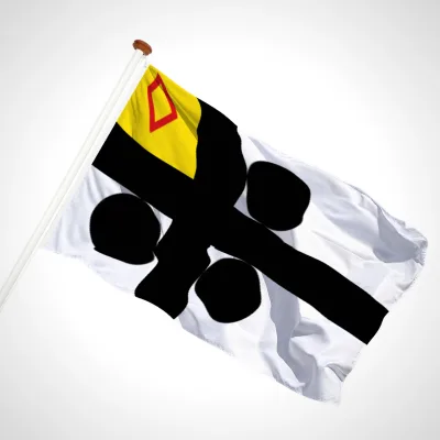 white background