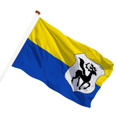 transparent background