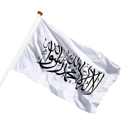 transparent background