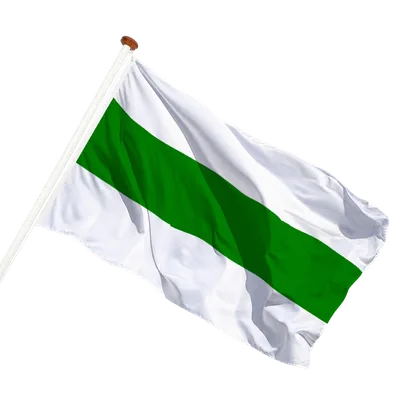 transparent background
