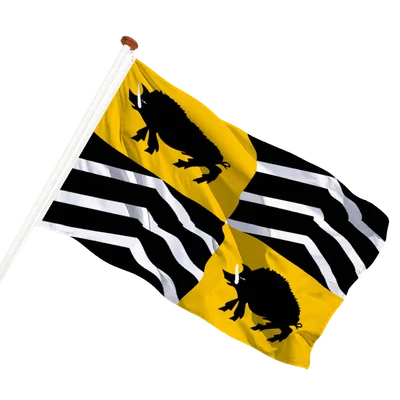 transparent background