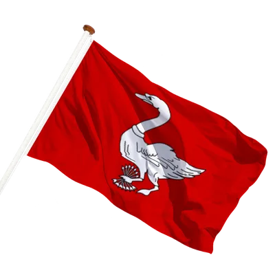 transparent background