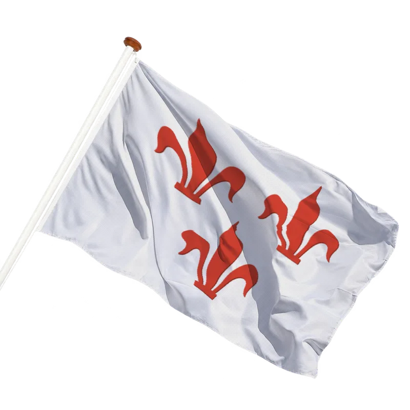 Flag of Rotselaar
