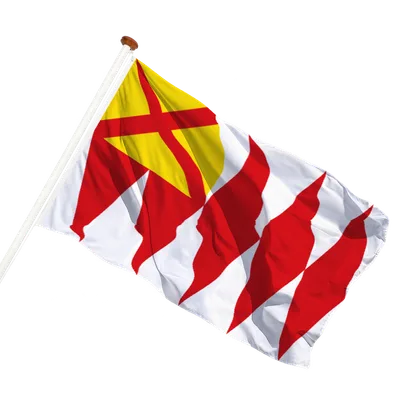 transparent background
