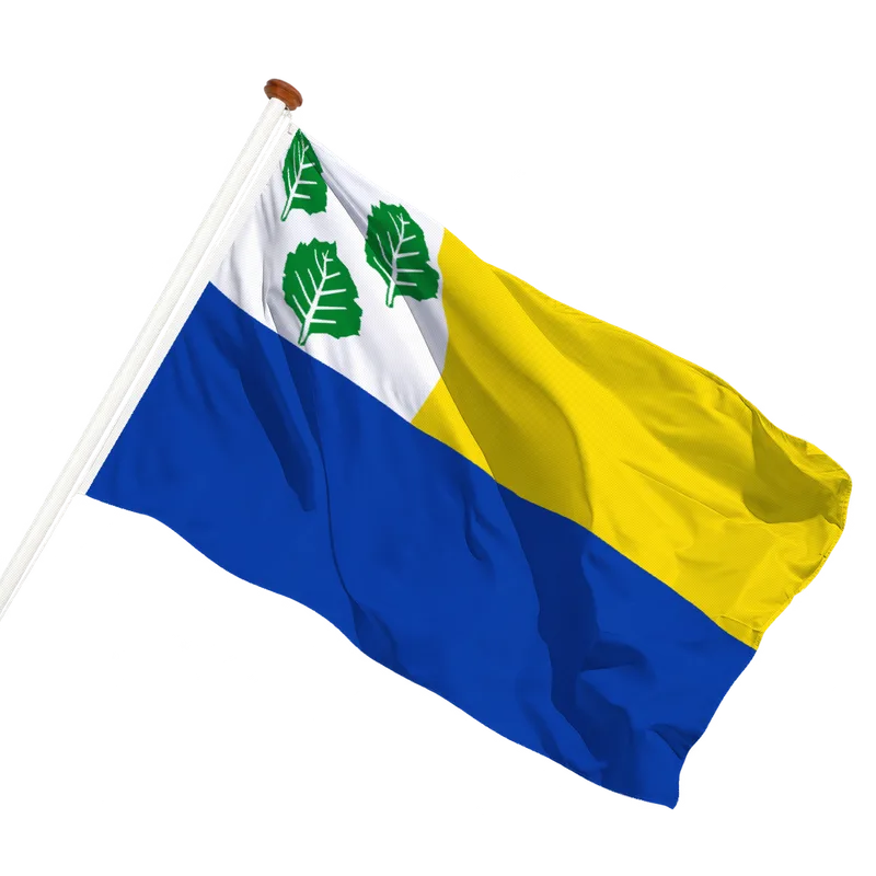 Flag of Oldebroek