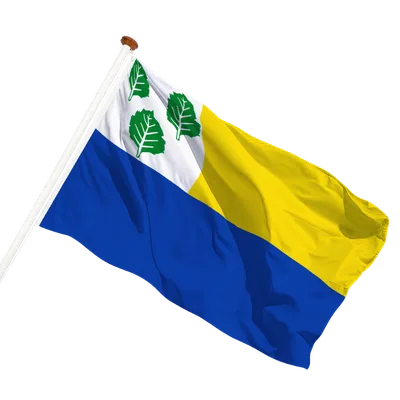 transparent background