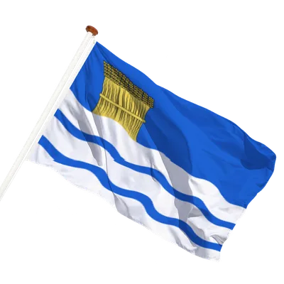 transparent background