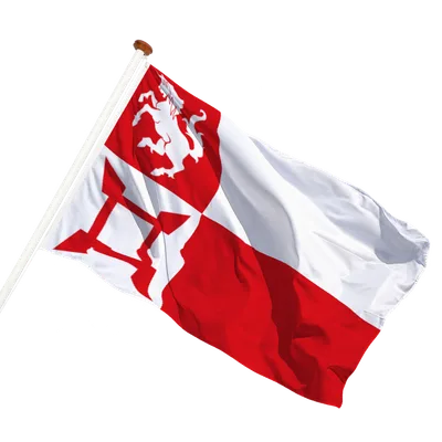 transparent background