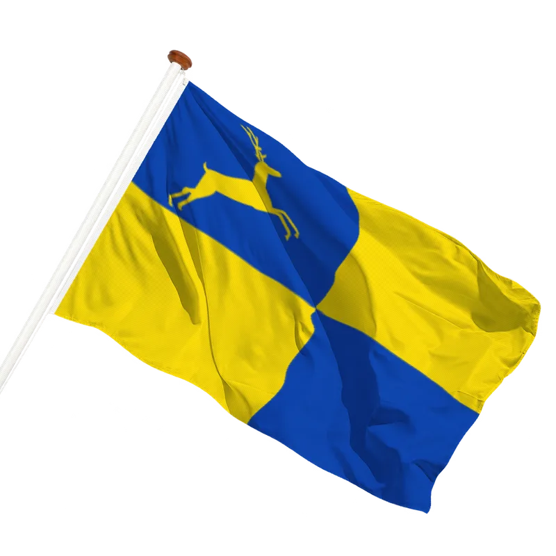 Flag of Putten
