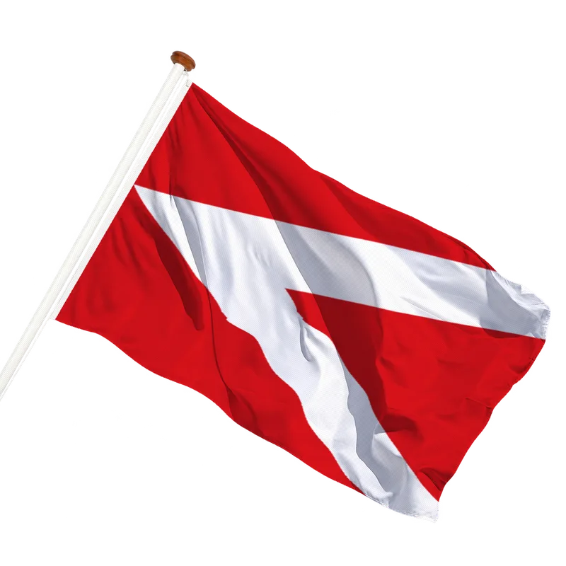 Flag of Anderlues