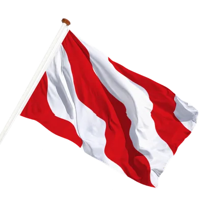 transparent background