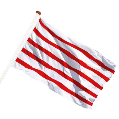 transparent background