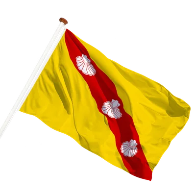 transparent background