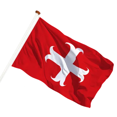 transparent background