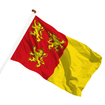 transparent background