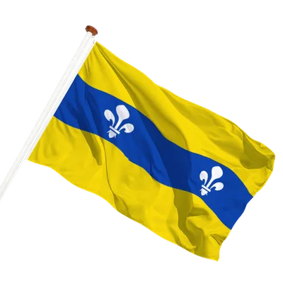 transparent background