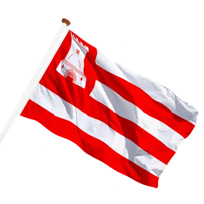 transparent background