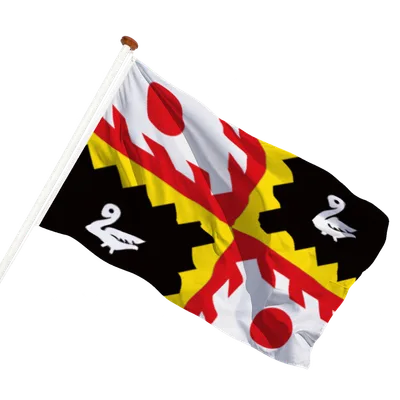 transparent background