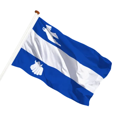 transparent background