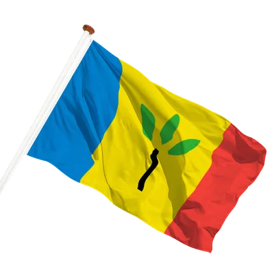 transparent background