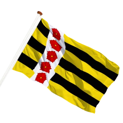 transparent background