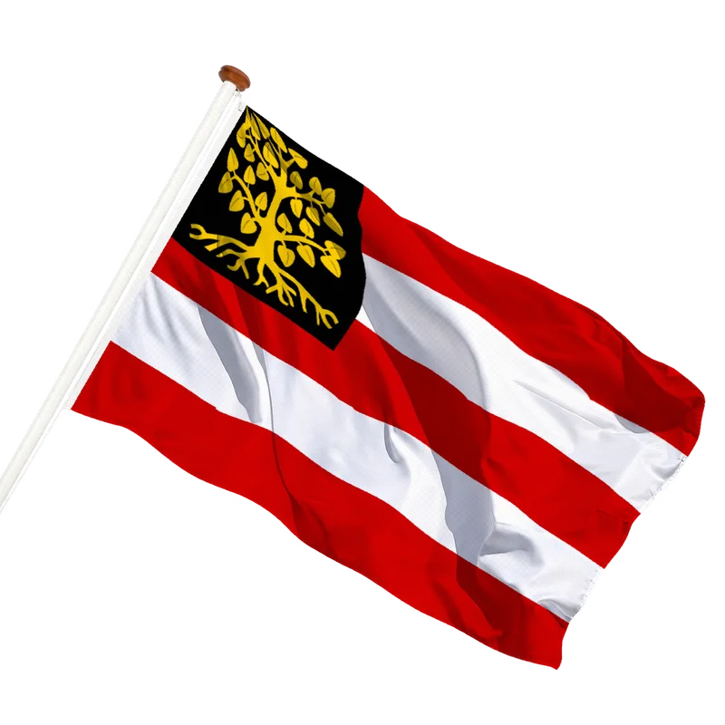 Flag of 's-Hertogenbosch