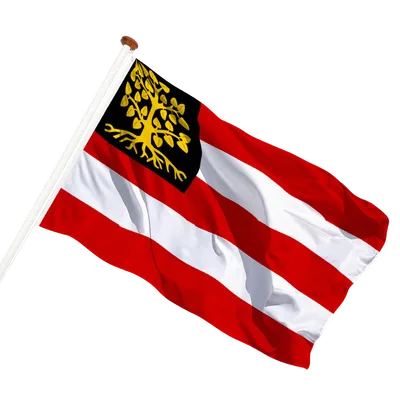 transparent background