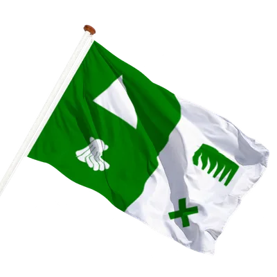 transparent background