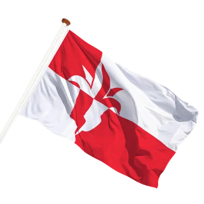 transparent background