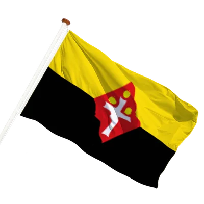 transparent background